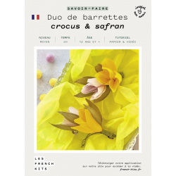 K-0098 - Duo de barettes - crocus et safran