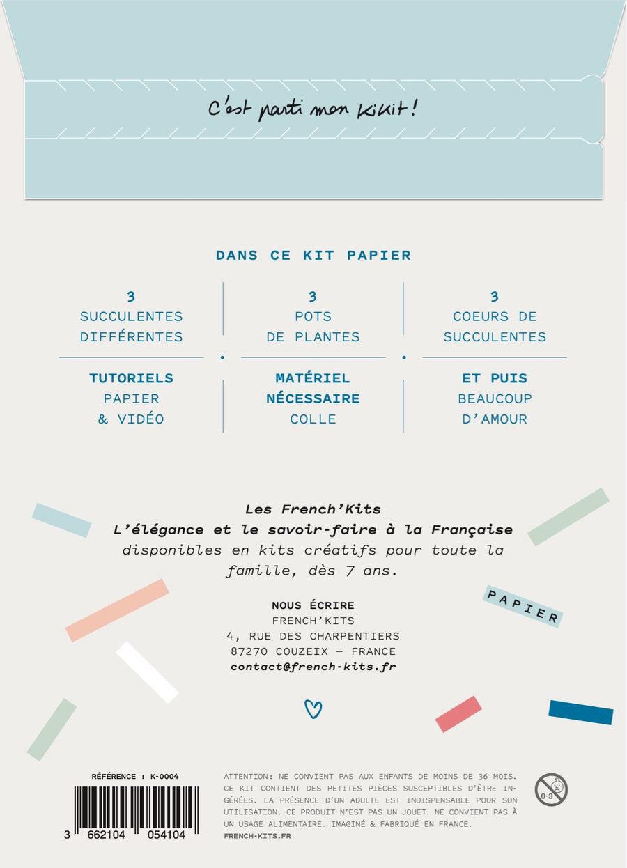 Kit pour créer 3 succulentes décoratives en papier