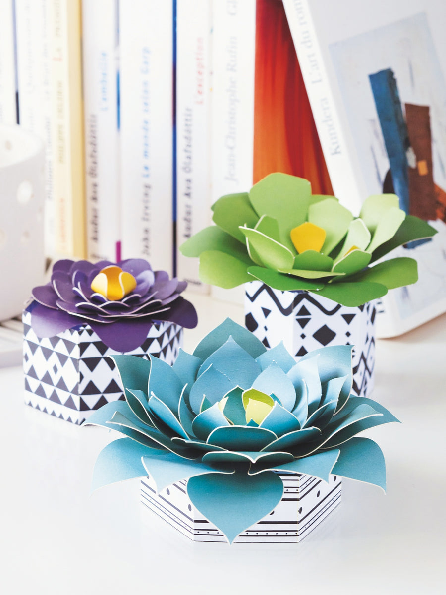 Kit pour créer 3 succulentes décoratives en papier