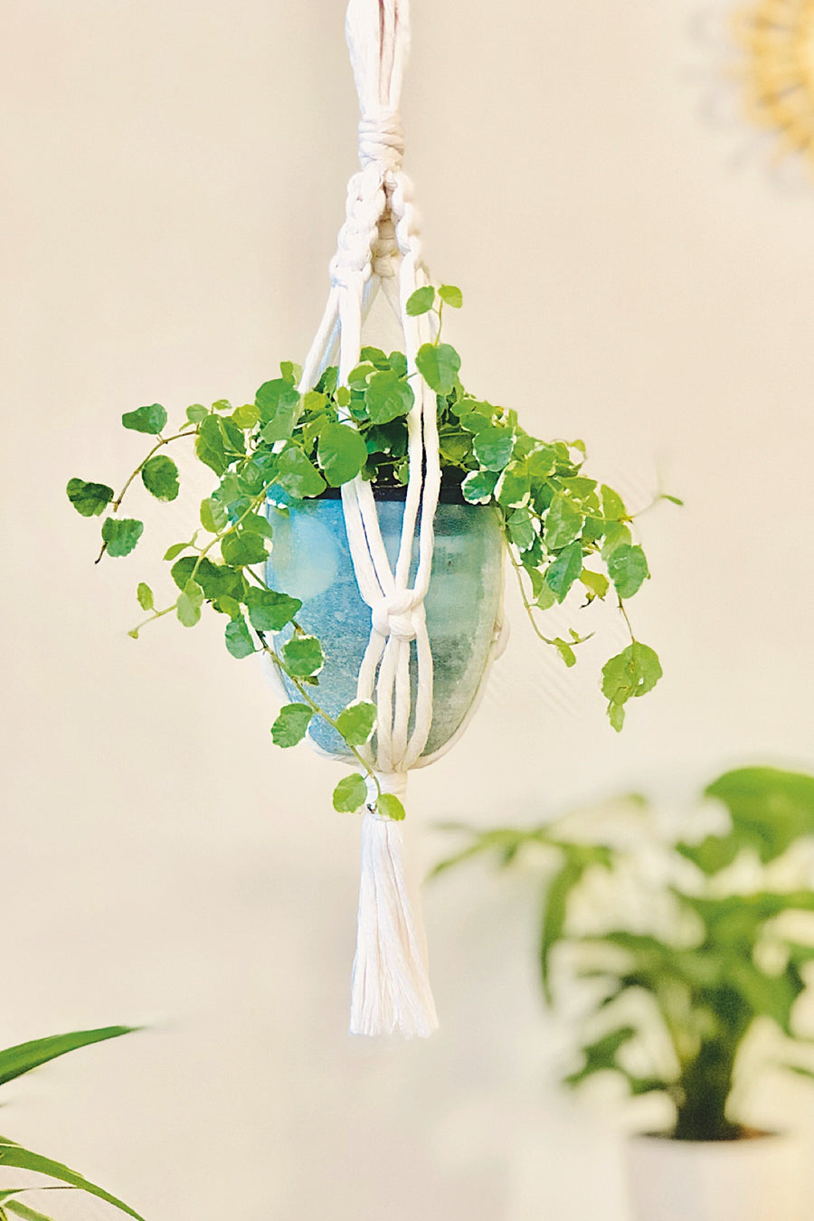 Mini Hanging Macrame Kit